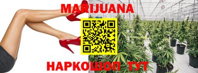 крисы Беслан