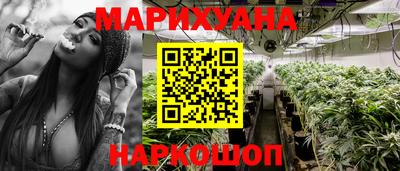 крисы Беслан